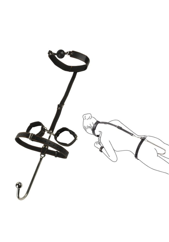 Anale haak geboeid plus gag ball set 2